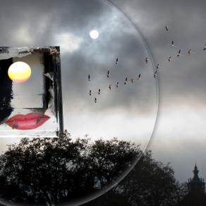  I DUE SOLI - 1° Premio Fiorino d'oro Premio firenze 2014 - Esposto a Palazzo Vecchio