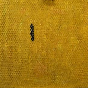 La rete dorata La rete dorata