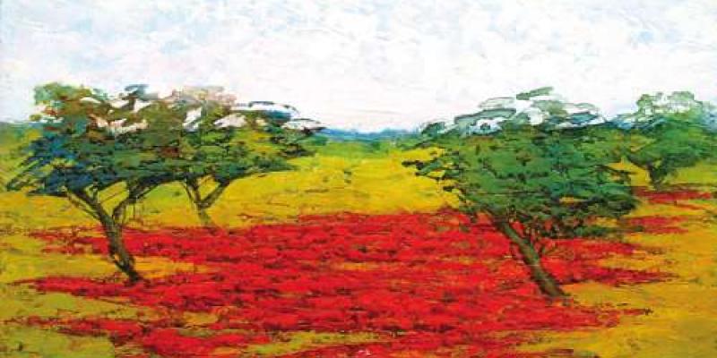 Luci, colori e armonie.