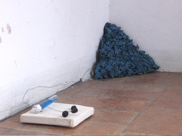 IL CANTICO DELLE CREATURE IL CANTICO DELLE CREATURE