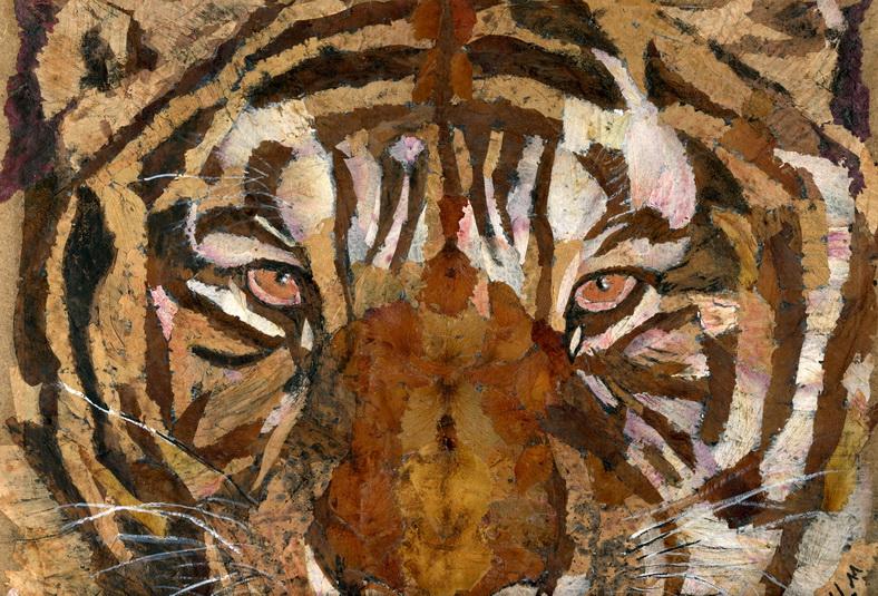 Contest awards "Draw Nature 2014" - organized by the Italian magazine : Oasis.