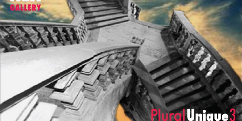 PLURAL UNIQUE 3 - Presso Next Gallery - Palazzo Somaglia - PIACENZA PLURAL UNIQUE 3 - Presso Next Gallery - Palazzo Somaglia - PIACENZA