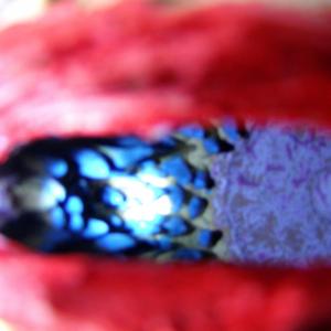 Mamma mia dammi 100 lire