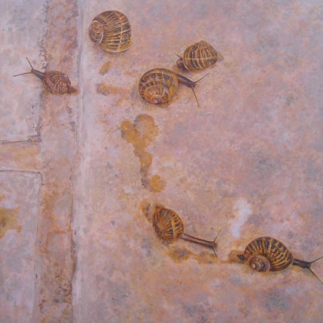 Snails