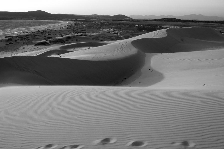 tra terra e mare 0987