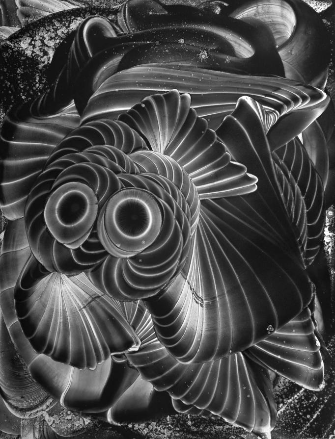 Omniscient Continuum I