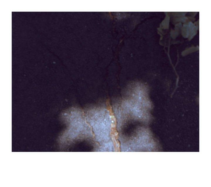 When I think of you ii