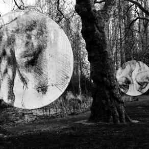 Il bosco dei misteri della scienza#2