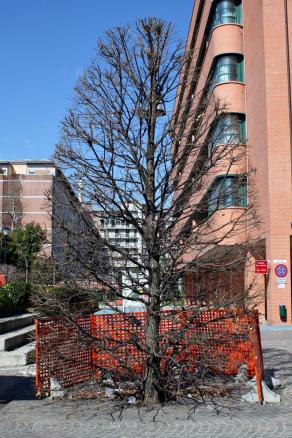 Work in progress...stiamo lavorando per voi...