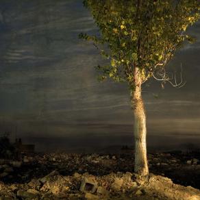 The Quest for the Blue Flower