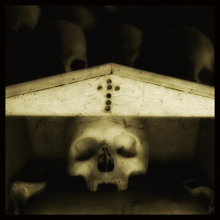 SKULLS 15 - Augusto De Luca photographer