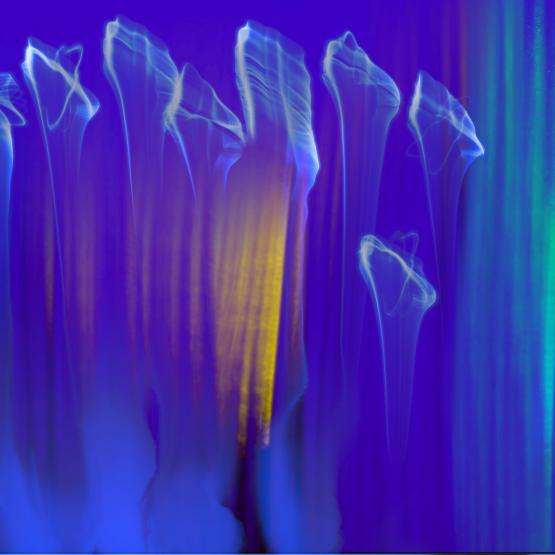 Gathering Before the Veil