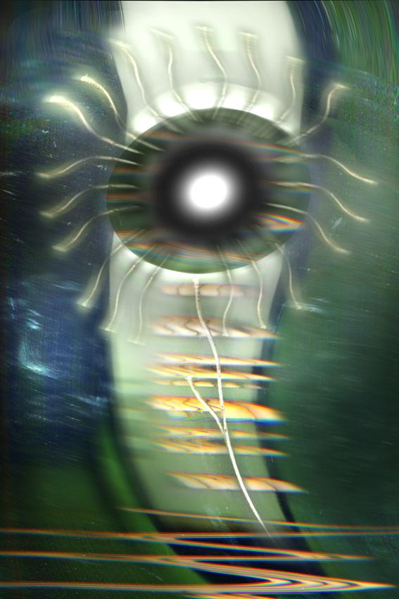 i fiori impossibili di maurino....