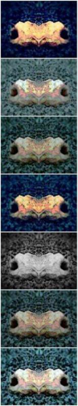 Hands Polychromatic n.2