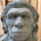Neanderthal in progress