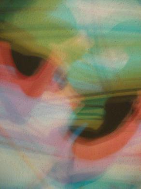 I COLORI DELLA BIODIVERSITÀ