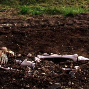 Raccolta differenziata