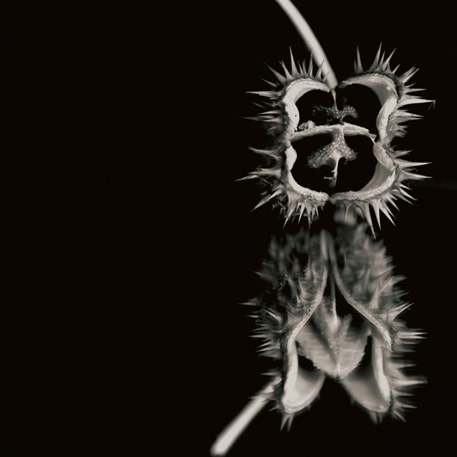 Open your mouth my love