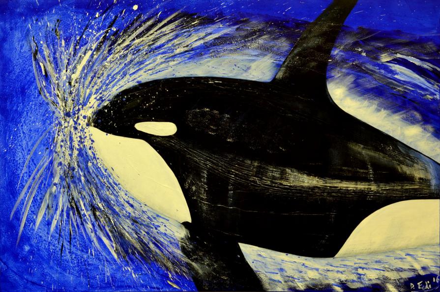 Orca  che sta  saltando sul mare planando sulle onde 