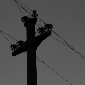 I Sing The Body Electric