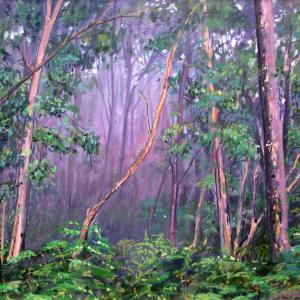 AUSTRALIAN EUCALYPTUS FOREST