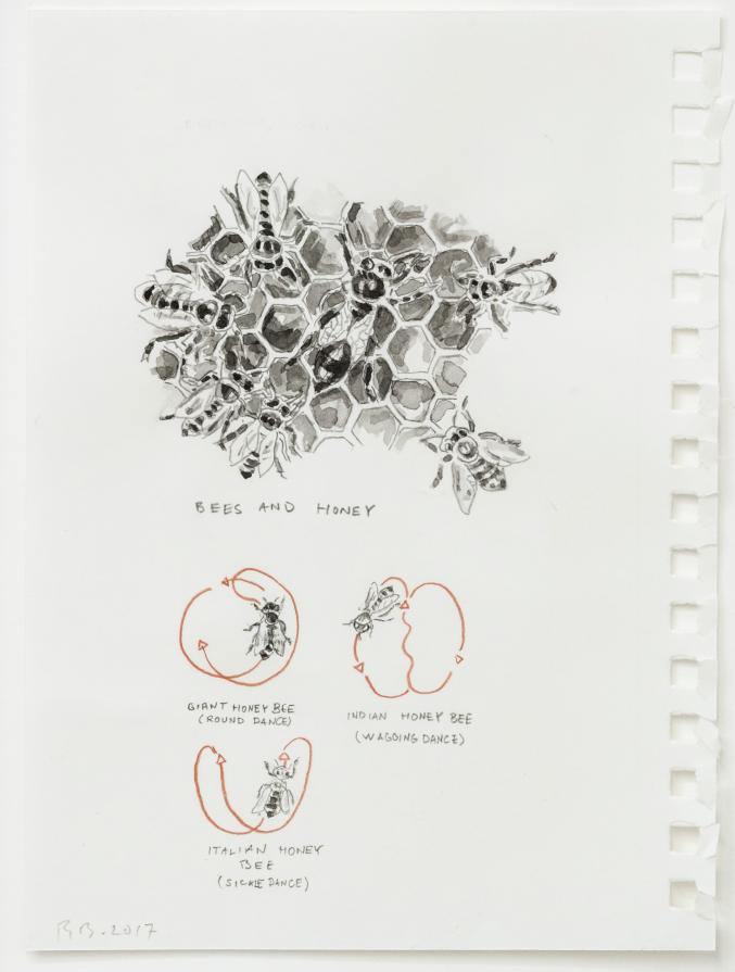 Bees and Honey  (Part of the Great Trading Project) 