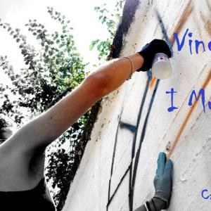 VINEOL ARTE (concorso per promuovere la creatività) 2/3 Agosto 2014, Pignola (Pz).