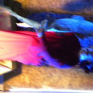 GlobalPoolParty - Festa dell'arte 2016