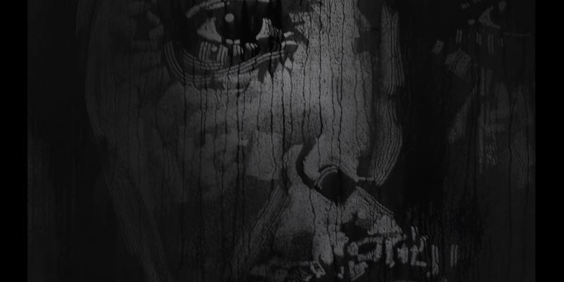 COLD Guglielmo Alfarone COLD Guglielmo Alfarone