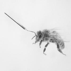 Massimiliano Galliani, Il mio segno