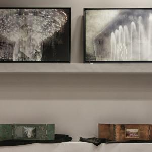 Figura Aqua, la Forma dell'acqua Figura Aqua, la Forma dell'acqua