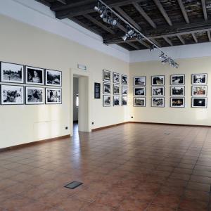 Festival Fotografico Europeo 2013 Sostieni la Fotografia diventa VOLONTARIO/A  Partecipando attivamente al F.F.Eu 12 ottobre – 17 novembre 2013 