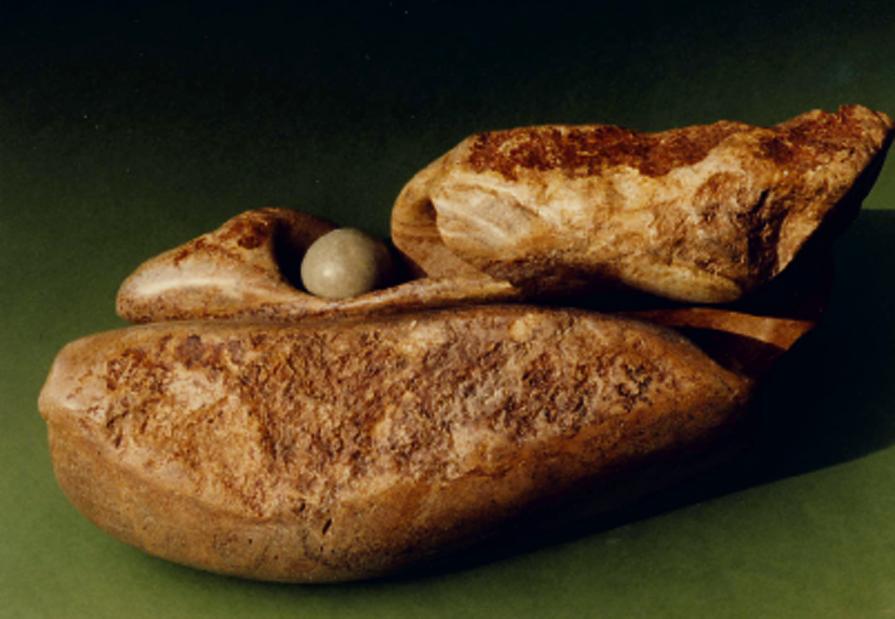 the color of my country the color of my country