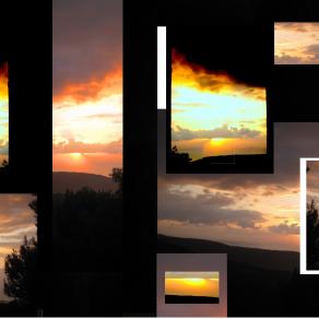 Twilights Collage 11