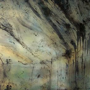 Luci ed ombre nella costellazione del cigno.