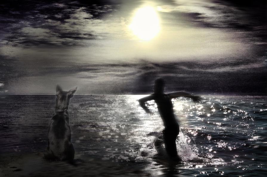 cane e uomo aspettando il tramonto.