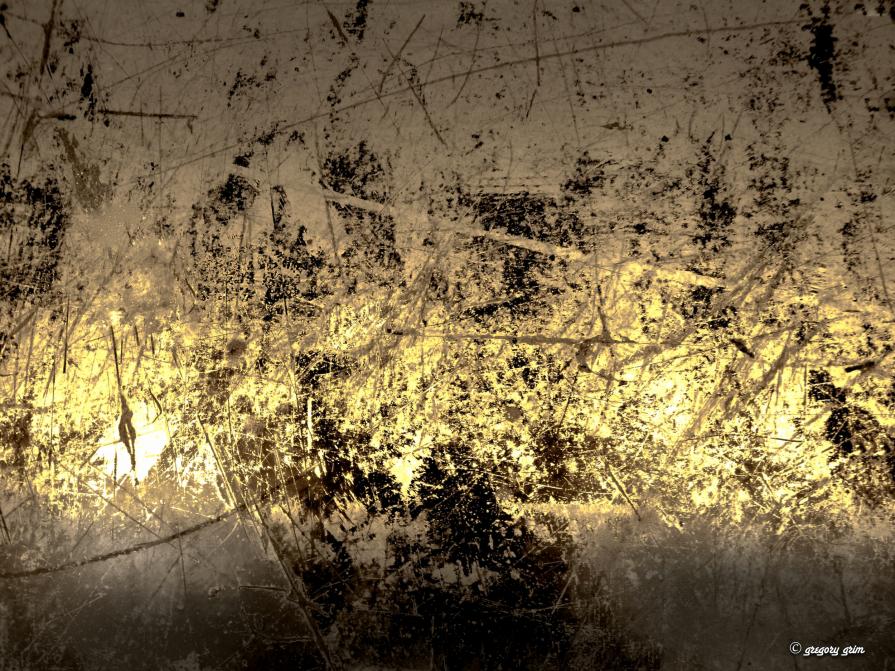 Untitled(yellow band) Untitled(yellow band)