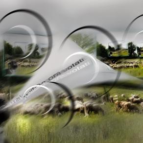 sei unico .ora votati