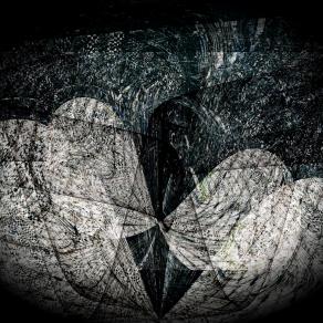 L'anima e la farfalla volano insieme