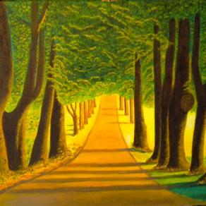 LG 0265 - Il viale delle Querce