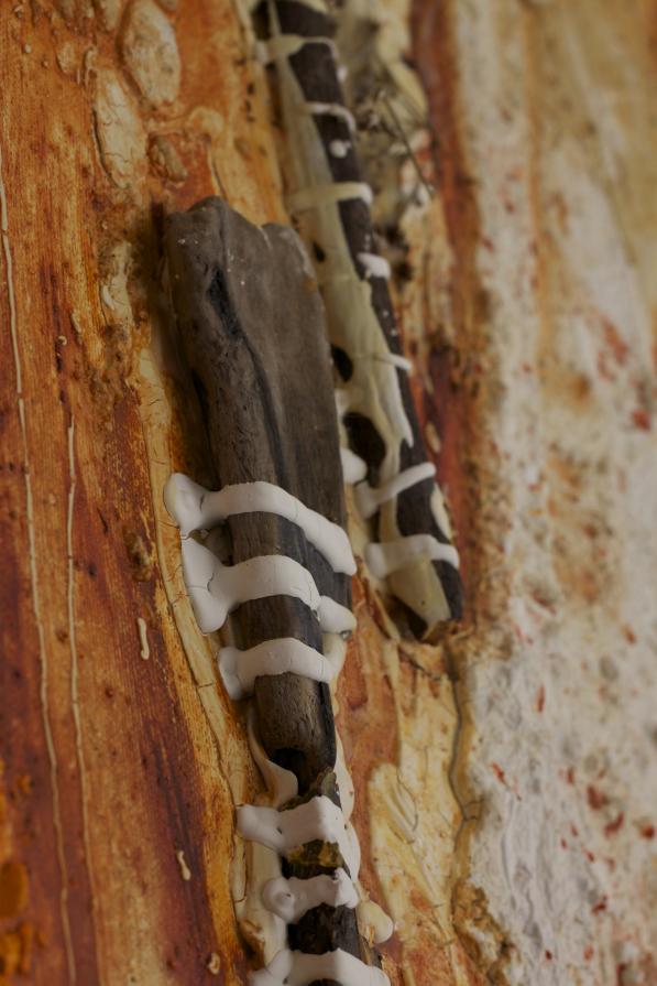 particolare ---DICIASETTE 18 SCIROCCO 115X115