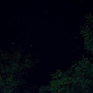 A Sky Full Of Stars For A Roof