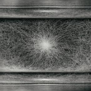 Enigma of the absolute 