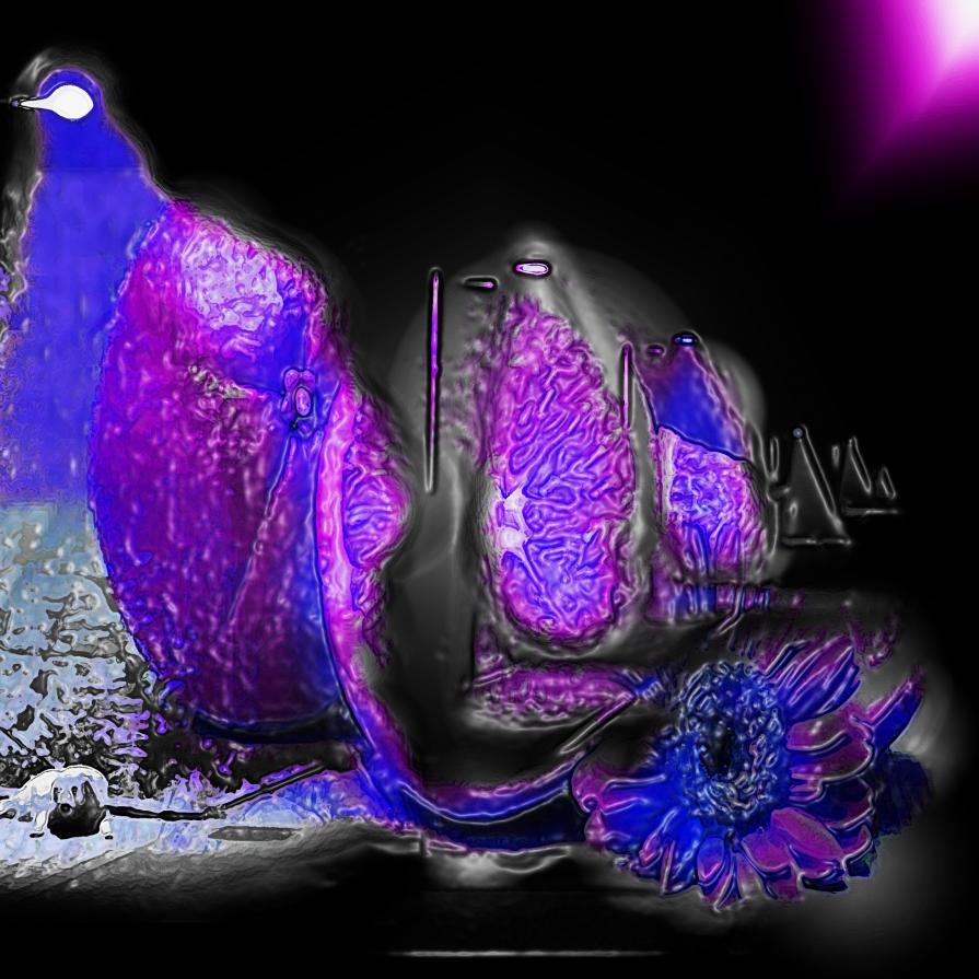 Il luogo dove i fiori crescono senza colore e il cielo è un pezzo di vetro...!!! 