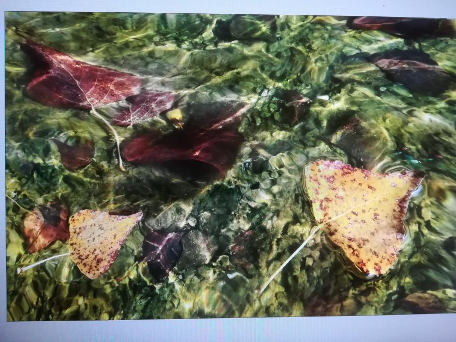 La pace dopo la tempesta. 