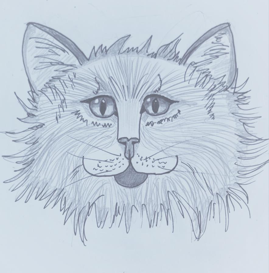 ...Quale dono più grande dell’amore di un gatto?...