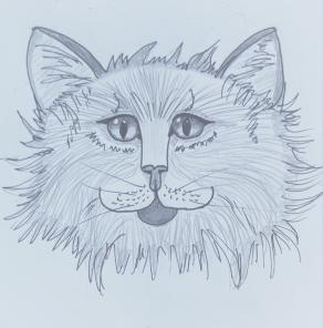 ...Quale dono più grande dell’amore di un gatto?...