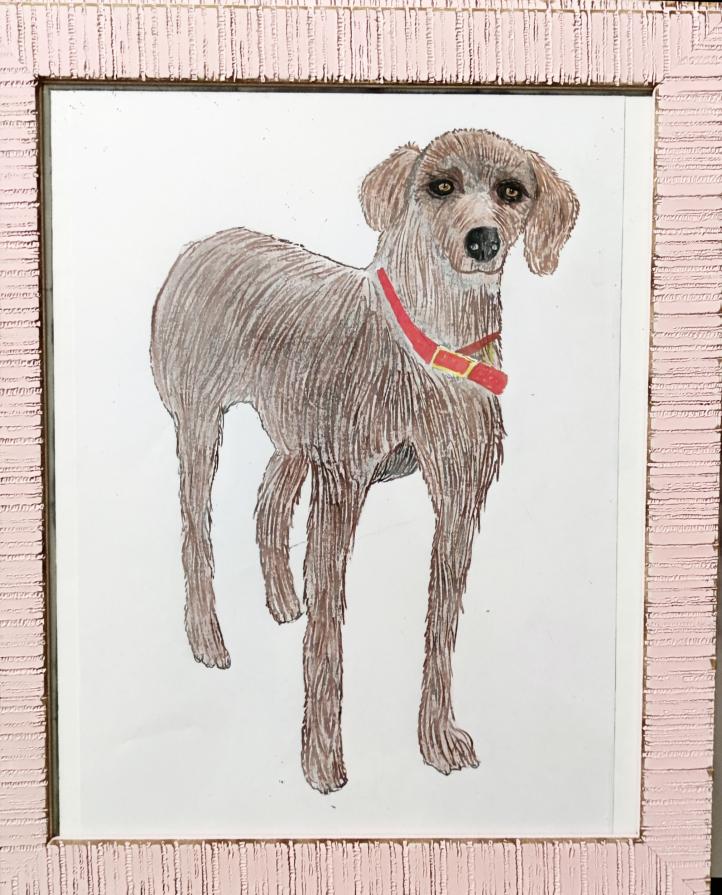           ... "Amore è una parola di quattro zampe" ...