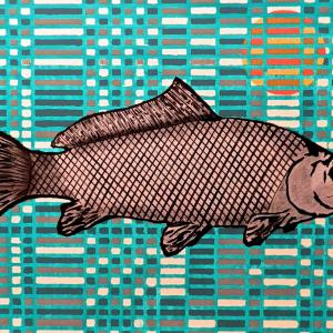 Pedro Carta. 2013 Pedro Carta. 2013