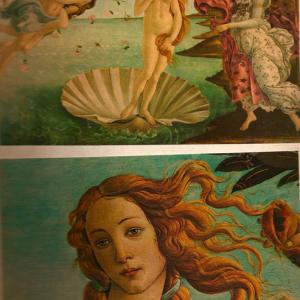 Il colore in Sandro Botticelli di Lucia Ghirardi